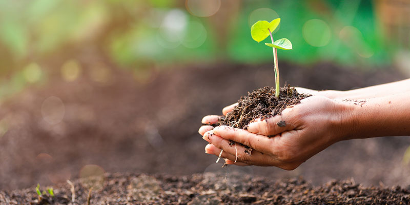 Biological Waste: A Growing Concern for Healthcare Facilities