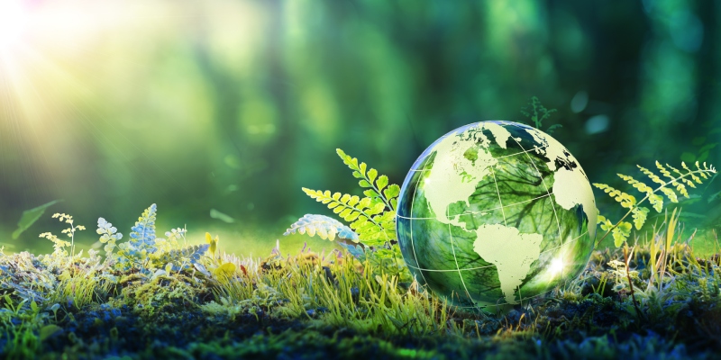 Understanding Medical Waste Incineration