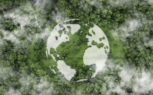 How Biohazard Bags Reduce Workplace Contamination