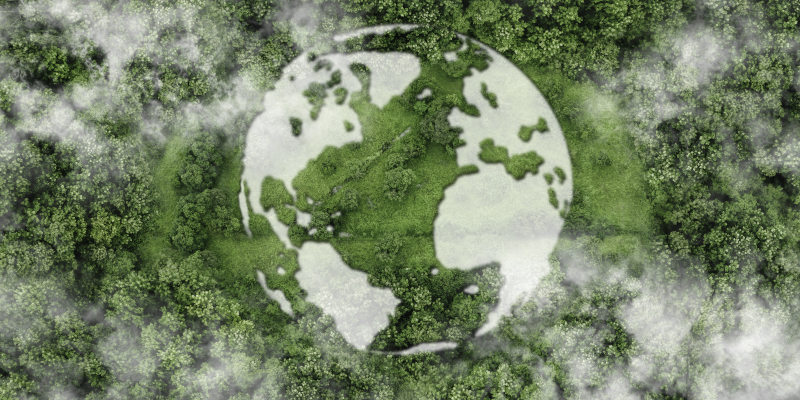 How Biohazard Bags Reduce Workplace Contamination