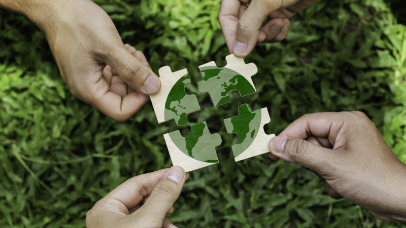 Experience Matters When It Comes to Medical Waste Incineration