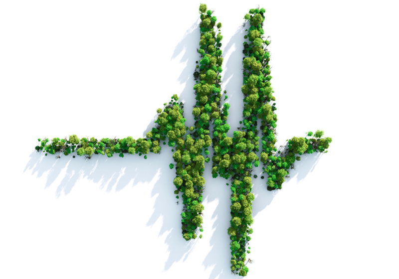 What You Need to Know About Biological Waste Disposal