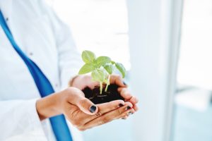 Hospital Waste Disposal: Protecting Health and the Environment