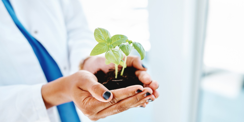 Hospital Waste Disposal: Protecting Health and the Environment