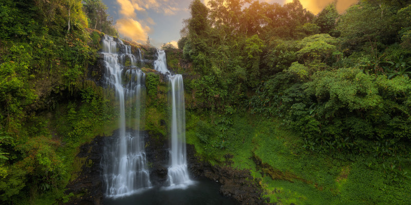 3 Reasons to Let Us Manage Your Pharmaceutical Waste