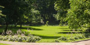 What You Should Know about Our Biohazard Bins