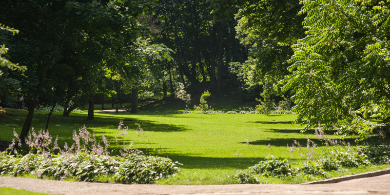 What You Should Know about Our Biohazard Bins