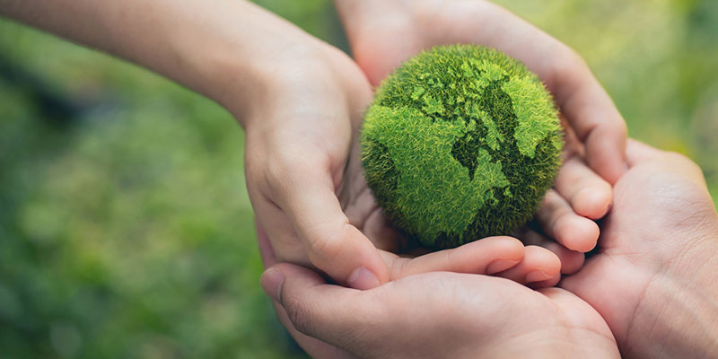 Why You Should Leave Medical Waste Disposal to the Professionals