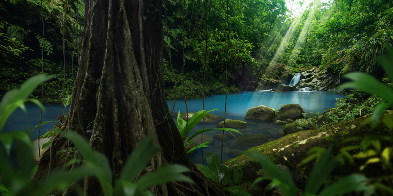 A Quick Guide to Our Waste Disposal Products