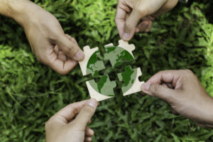 How to Find the Right Healthcare Waste Disposal Company
