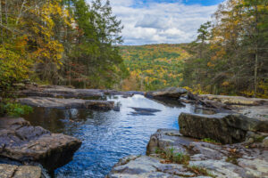 Why Proper Medical Waste Disposal Is Essential for Public Health