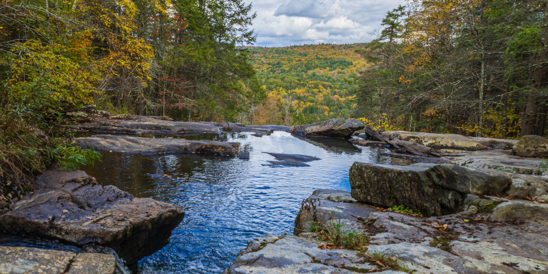 Why Proper Medical Waste Disposal Is Essential for Public Health