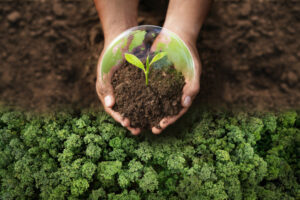Is Eco-Friendly Medical Waste Disposal Possible?