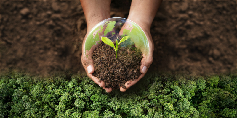 Is Eco-Friendly Medical Waste Disposal Possible?