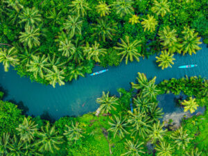 Red Bag vs. Sharps vs. Pharmaceutical Waste: What Goes Where?