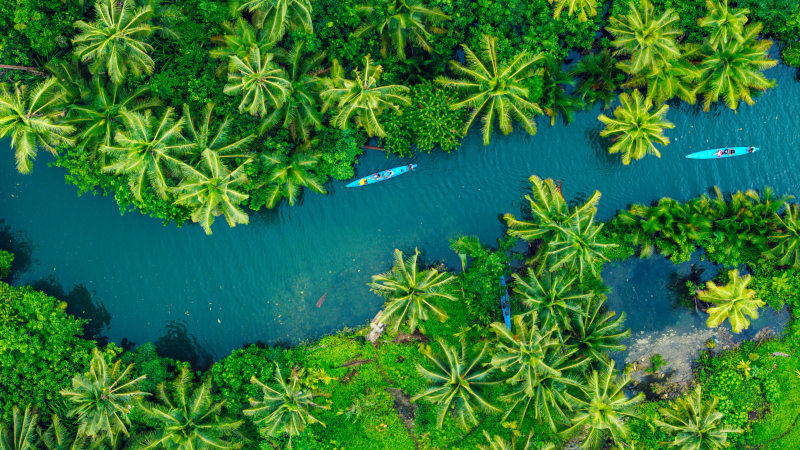 Red Bag vs. Sharps vs. Pharmaceutical Waste: What Goes Where?